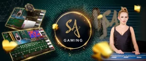 เว็บบาคาร่า sa gaming